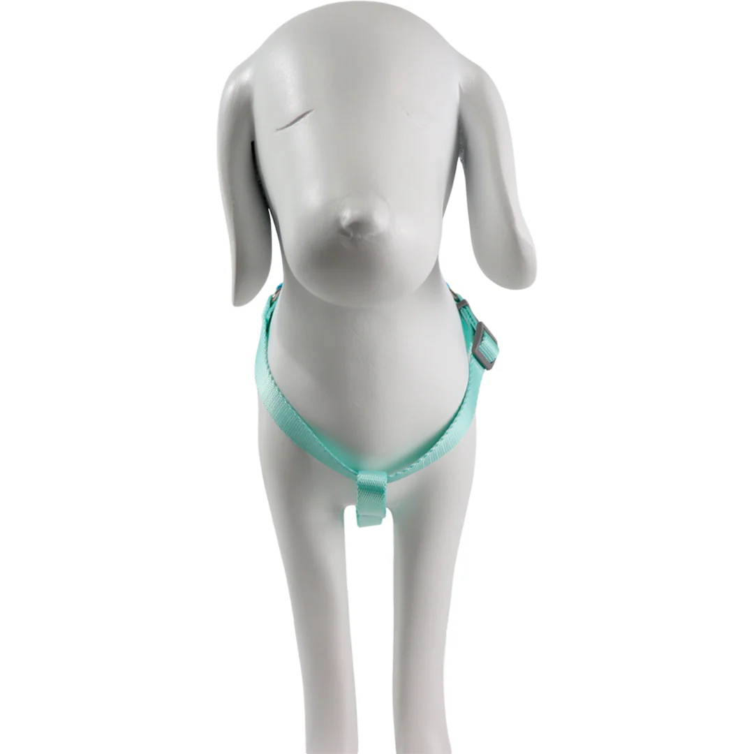 Arnés Ajustable Turquesa/Azul - 43cm