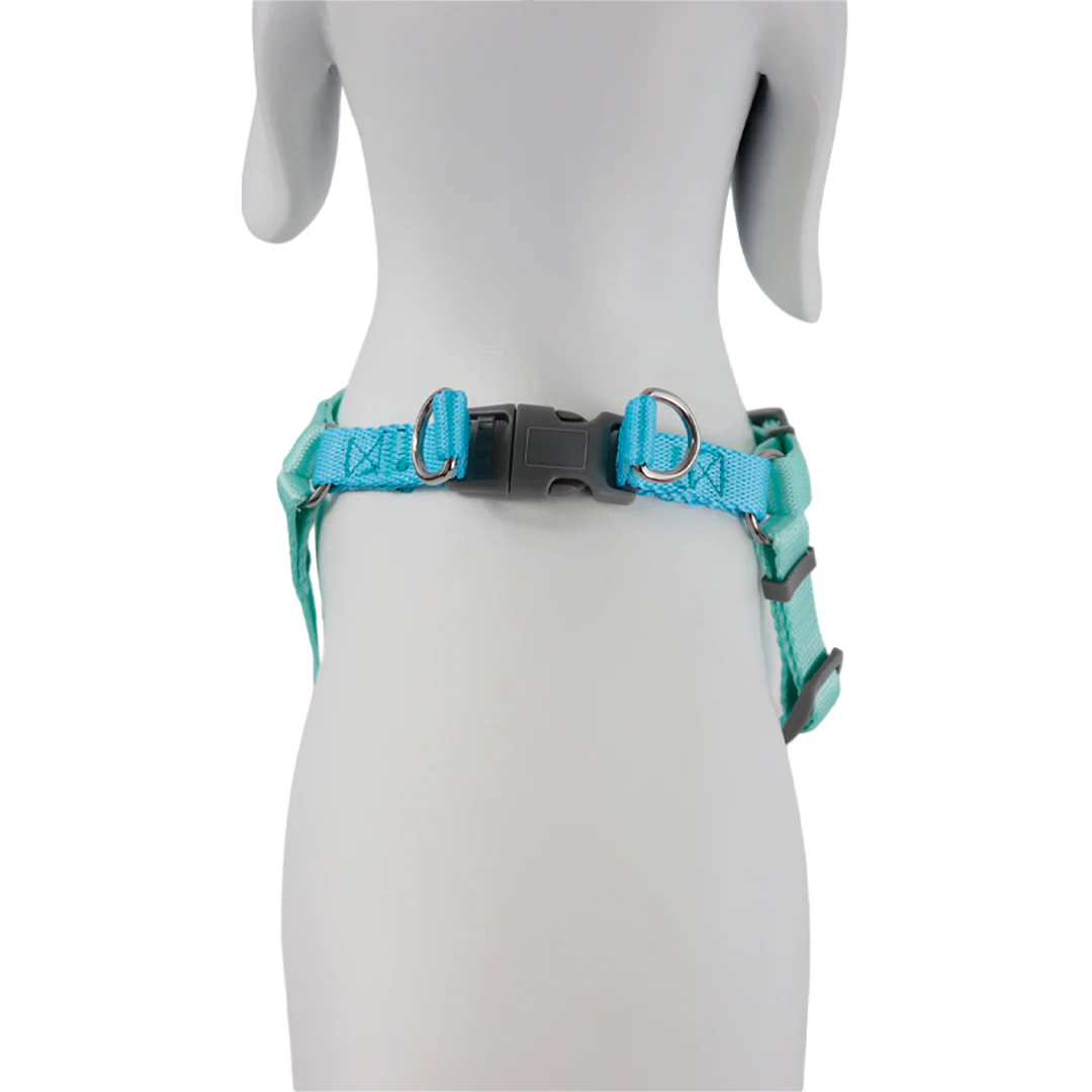 Arnés Ajustable Turquesa/Azul - 43cm - Image 2