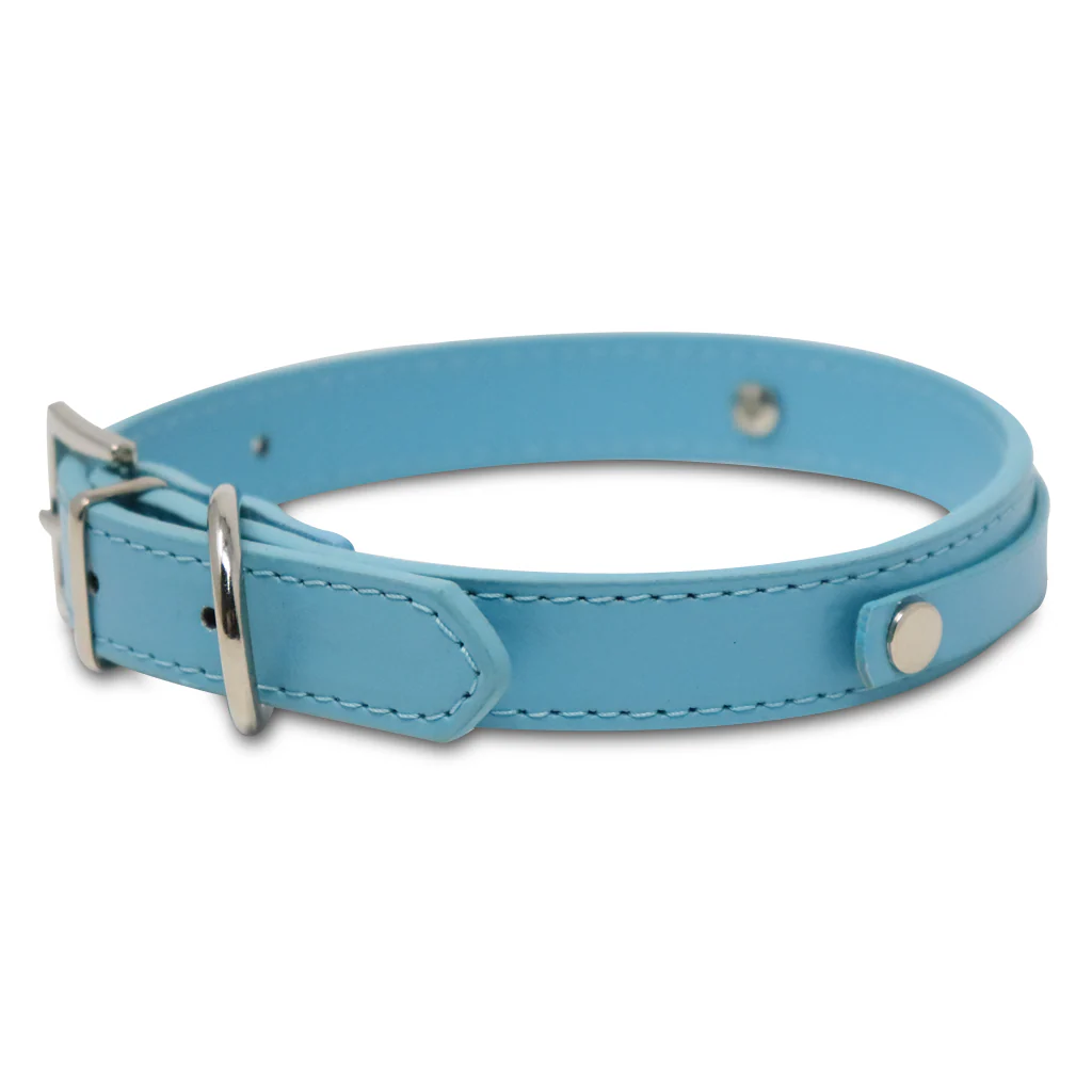 Collar para Mascota Azul Celeste Estoperol - 2 cm x 42 cm - Image 3