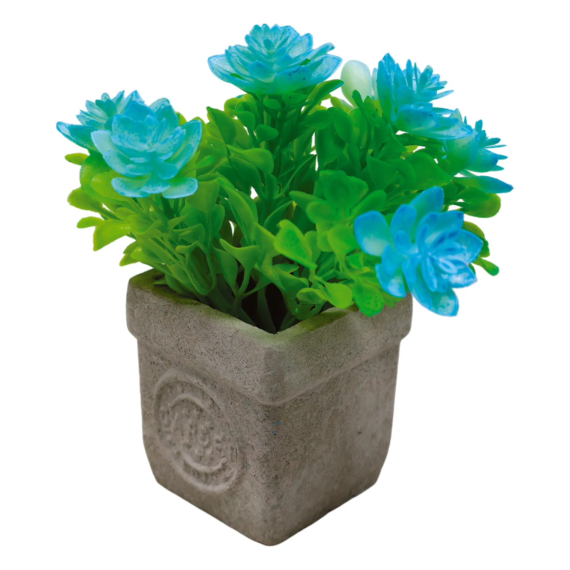 Mini Maceta Biodegradable  con Flor de Loto