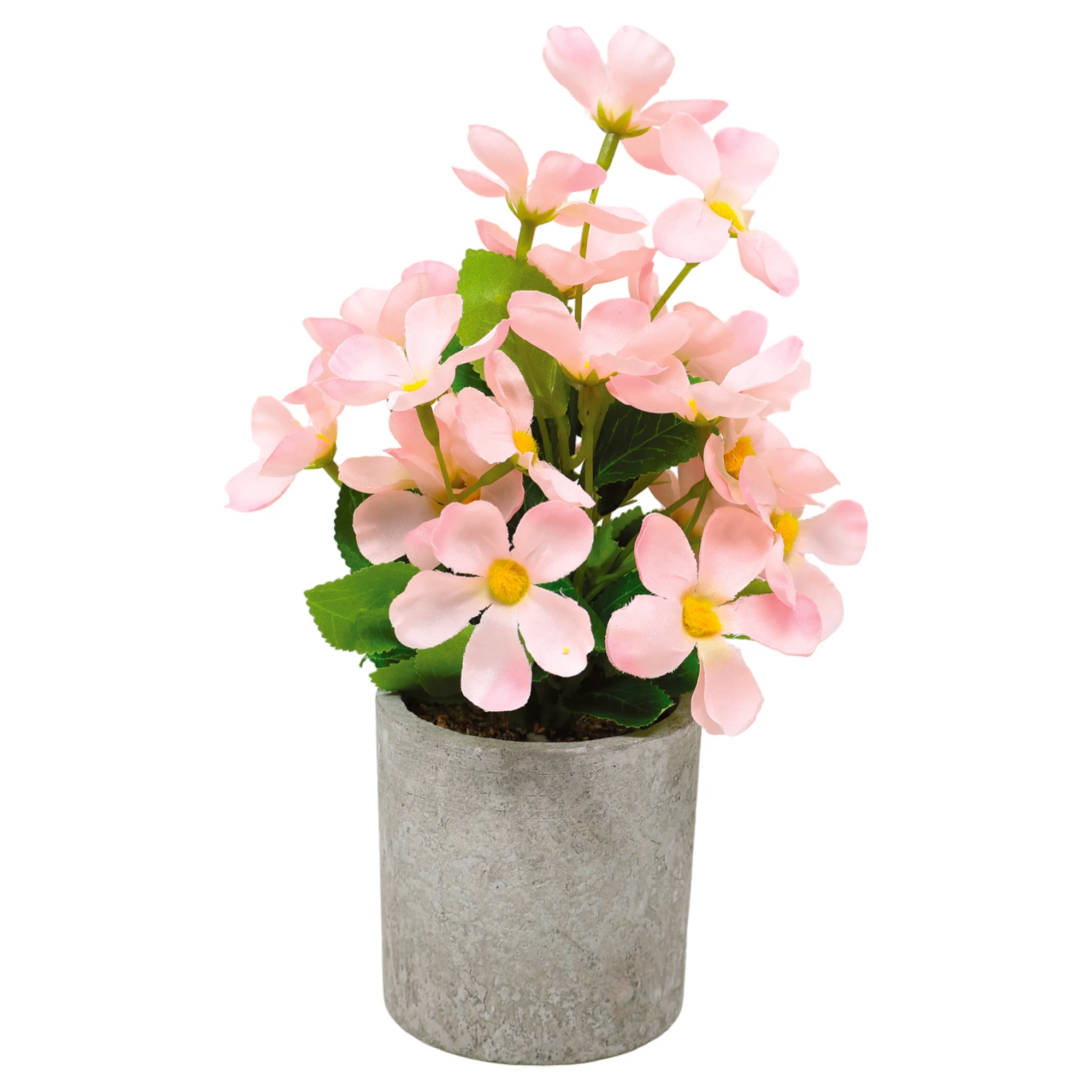 Mini Maceta Cilíndrica Biodegradable con Planta de Flores Silvestres Rosas